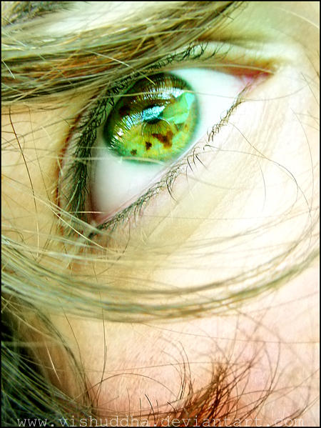   The Eye   by Vishuddha